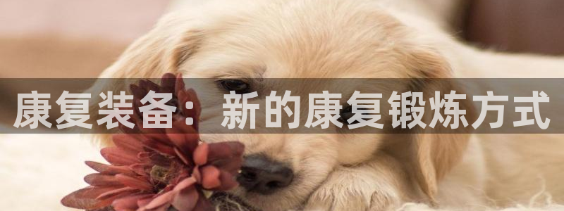 fb体育招商电话是多少啊：康复装备：新的康复锻炼方式