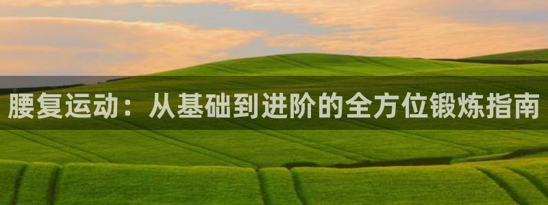 fb体育招商：腰复运动：从基础到进阶的全方位锻炼指南