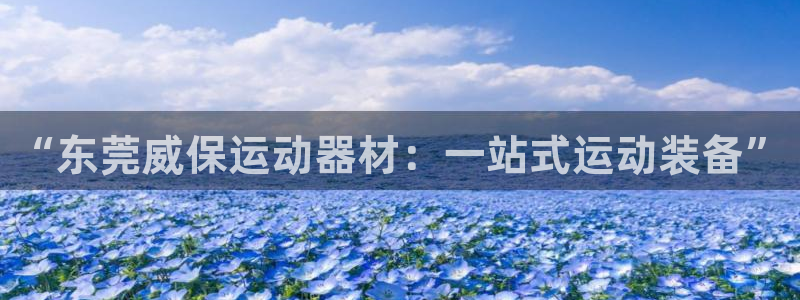 fb体育平台注册流程图：“东莞威保运动器材：一站式运动装备”