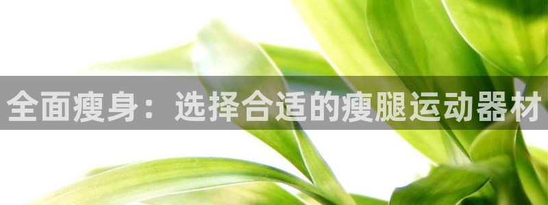 fb体育平台假的吗是真的吗：全面瘦身：选择合适的瘦腿运动器材