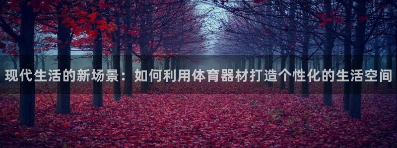 fb体育娱乐：现代生活的新场景：如何利用体育器材打造