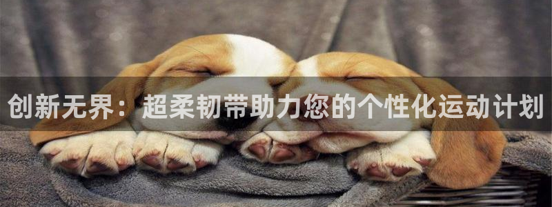 fb体育招商电话是多少号码：创新无界：超柔韧带助力您的个性化