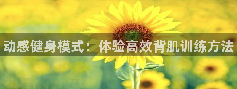 fb体育平台注册流程视频：动感健身模式：体验高效背肌训练方法