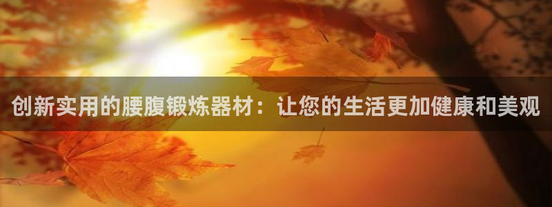 fb体育集团E.ON：创新实用的腰腹锻炼器材：让您的