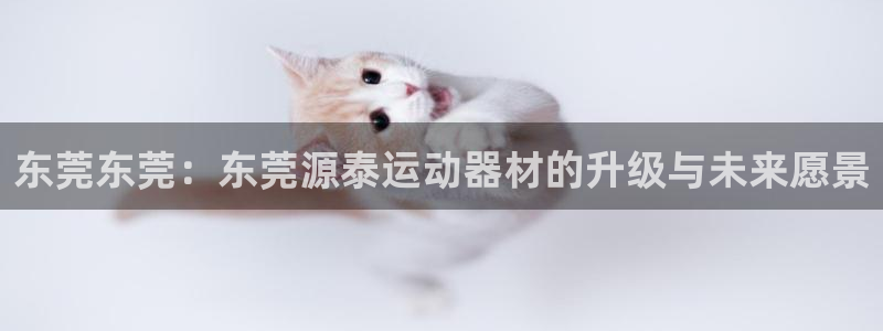 fb体育代理：东莞东莞：东莞源泰运动器材的升级与未来愿景