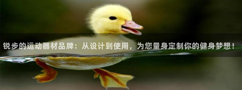 fb体育官方客服电话：锐步的运动器材品牌：从设计到使用，为您