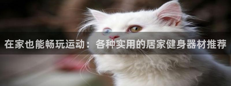 fb体育娱乐下载