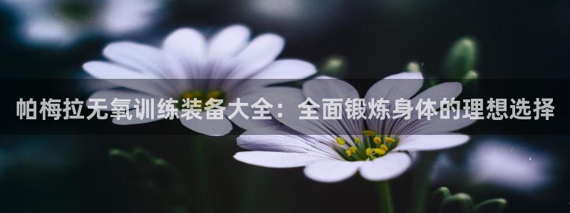 fb体育集团简介：帕梅拉无氧训练装备大全：全面锻炼身