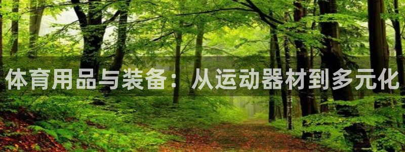 fb体育集团：体育用品与装备：从运动器材到多元化