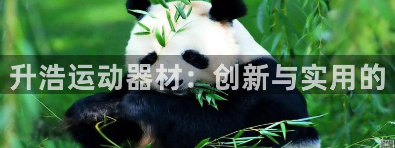 fb体育集团logo：升浩运动器材：创新与实用的