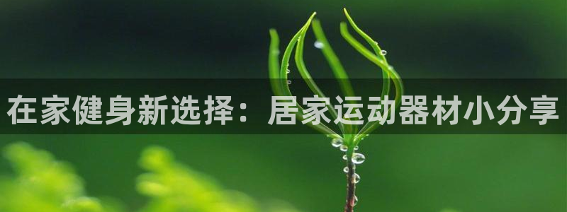 fb体育：在家健身新选择：居家运动器材小分享