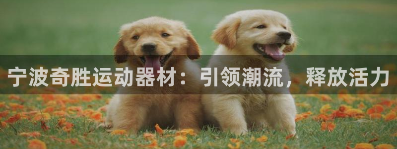 海南fb体育发展怎么样：宁波奇胜运动器材：引领潮流，释放活力