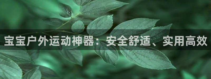 fb平台体育：宝宝户外运动神器：安全舒适、实用高效