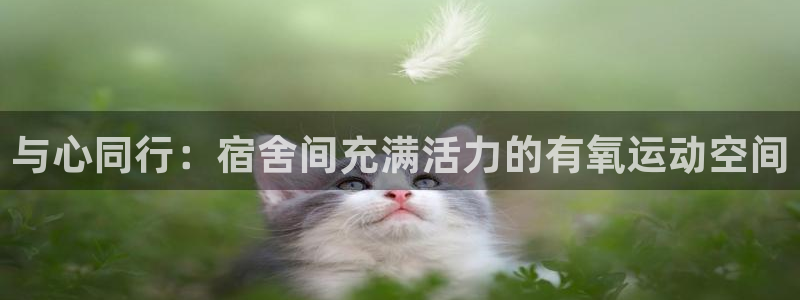 fb体育集团E.ON：与心同行：宿舍间充满活力的有氧运动空间